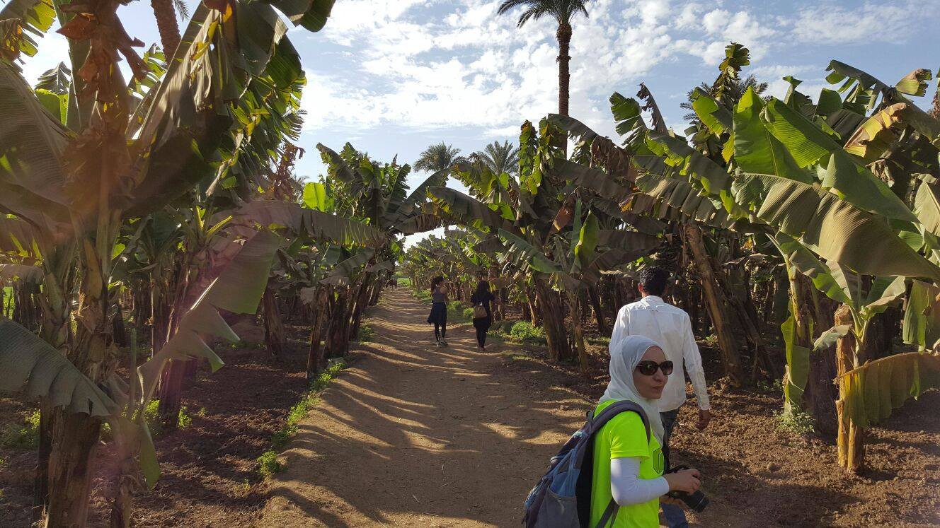 12765701_10206745353766408_900460102_o