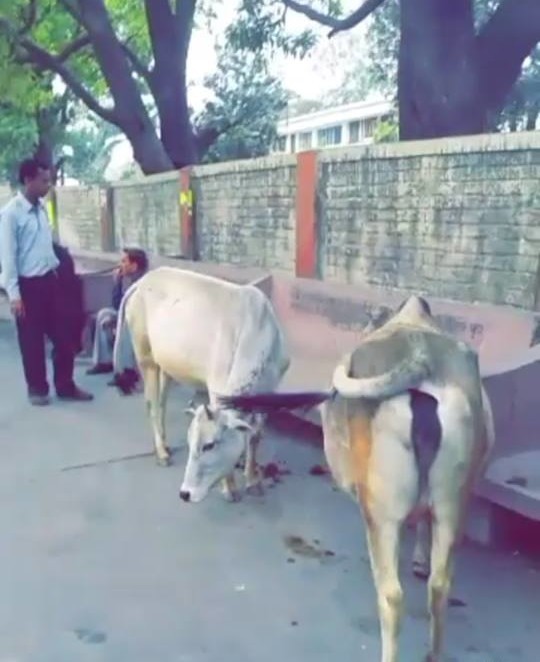 13181222_10207319087909403_191705695_n