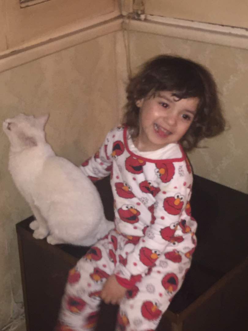 Walaa ElMenyawi (2)