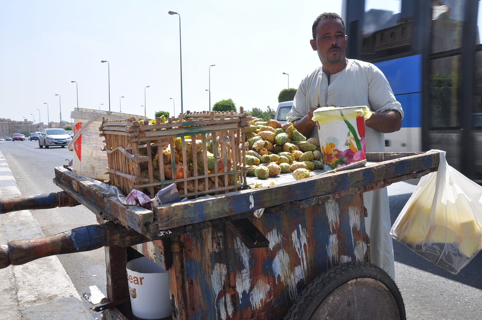 Humans of Prickly Pears in Cairo, 