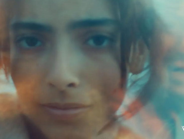 Sofia Alaoui’s Animalia