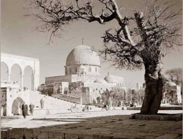 Old Palestine
