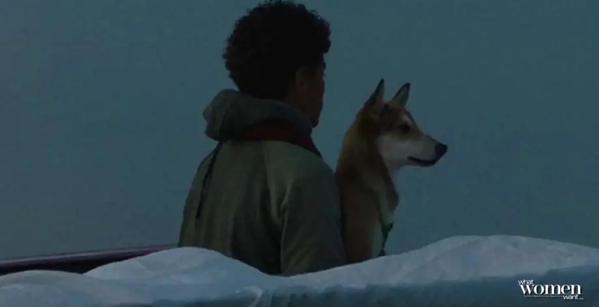 A Promise to The Sea by Hend Sohail