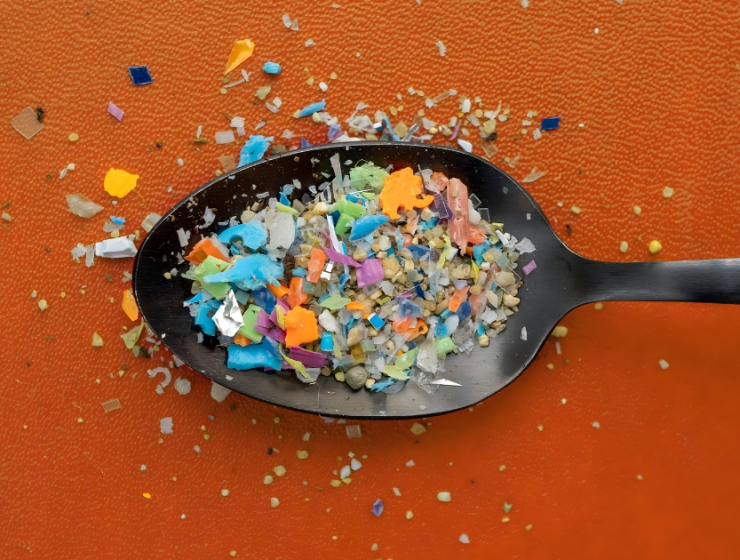 Living with Plastic: The Effect of Microplastics